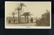 Monaco Palmiers Ancienne Photo CDV Davanne &amp; Aleo 1870 - Old (before 1900)