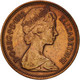 Monnaie, Grande-Bretagne, Elizabeth II, Penny, 1983, TTB, Bronze, KM:927 - 1 Penny & 1 New Penny