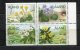 4069  ALAND   N° 123/6**  2  M 40  : Fleurs Printanières   1997  SUPERBE - Aland