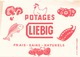 France Buvard   Potage Liebig ( Pliure, Taches ) 20 Cm X 14,5 Cm - Soups & Sauces