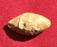 GREEK LEAD BULLET WITH INSCRIPTION IN EXCELLENT CONDITION, V C.B.C., 27.74 Gr., 29 Mm. (178) - Archéologie