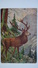 Mueller Style - Hunting - Chasse - Roe Deer  - Old Vintage Postcard 1929 Kharkiv Railway Station Stamp - Mueller, August - Munich