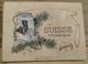 Ancien Album Suchard Vignette Photo Sur La Suisse Pitoresque, Art Nouveau 1903 - Chocolate