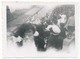 Delcampe - SCOUTISME -  MARSEILLE - 6 Petites Photos Scoutisme - Fête De Jeanne D'Arc 10/05/1942 - Padvinderij