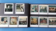 Delcampe - CHINE-ALBUM 192 PHOTOS COLLEES-1979 ET 1980-HONG KONG,LIAO YANG,ANSHAN,PEKIN,SANGHAI,TURPAN,URUMQI,DATONG,MURAILLE CHINE - Albums & Collections