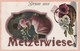 METZERWIESE - Gruss Aus ........ 1/2   ( Superbe Et Rare ) - Other & Unclassified
