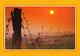 Carte Postale - Lot 119 Cartes Postales Coucher De Soleil - Une Partie Neuves, Une Partie écrites état Bon, Petit Prix - 100 - 499 Cartoline