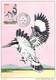 HONG-KONG CARTE MAXIMUM NUM. YVERT 531 FAUNE OISEAU PROTECTION DE LA NATURE - Maximum Cards