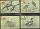 Endangered Birds Indian Max Cards Set Lesser Florican Bush Quail Laughing Thrush Stork Bird Birds Vogel Vögel Oiseaux - Storks & Long-legged Wading Birds