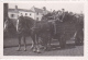 Photographie 5 X 8.7 Cm - Attelage Remorque Hippomobile Deux Chevaux Chargée De Plusieurs Personnes - à Identifier - Lieux