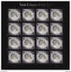 General Eclipse Of The Sun  Forever 49 ¢ | Sheet Of 16 - Ungebraucht