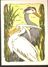 K. Russia USSR Soviet Postcard Russian Tales Birds Crane And Heron Fairy Tale Story By Alekseev Artist - Contes, Fables & Légendes