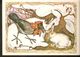 K. Russia USSR Soviet Postcard Russian Tales Hare Brag Bragging Fairy Tale Story Animal Crow Illustration By Alekseev - Fairy Tales, Popular Stories & Legends