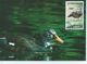 THAILANDE : CARTE MAXIMUM 1/12/96 " Canards Divers " Bangkok - Collections, Lots & Séries