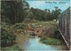 CARTOLINA - POSTCARD - NIGERIA - SHAGAMU - WASHING DAY - Nigeria