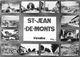85-SAINT-JEAN-DE-MONTS - MULTIVUES - Saint Jean De Monts