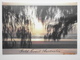 Postcard Sunrise Gold Coast Australia PU 1999 Nice Clean Butterfly Stamp  My Ref B21792 - Gold Coast