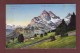 Glarus - BRAUNWALD Mit Ortstock - Braunwald