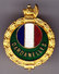 Dardanelles. Amicale Des Anciens Combattants. SM. Insigne De Boutonnière. - Armée De Terre