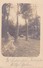 AK Foto Berlin - Lichterfelde - Garten - 1907 (30332) - Lichterfelde