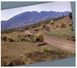 (531) Australia - SA - Flinders Ranges - Flinders Ranges