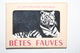 20 Photographies Véritables - Bêtes Fauves - Albums & Collections