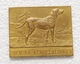 Svenska Kennelklubben Manufactured By  Sporrong, Dog - Bronzes