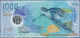 01650 Maldives / Malediven: Beautiful Polymer Note 1000 Rupees 2016 P. New In Condition: UNC. - Maldives