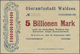 04381 Deutschland - Notgeld - Württemberg: Waldsee, Oberamtsstadt, 5 Billionen Mark, 21.9.1923, Ohne Unterschriften Und - [11] Emissions Locales