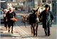 Marché Normand - En Route Pour Le Marché Ambulant (âne) - Venters