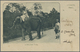 Br Französisch-Indochina: 1902. Picture Post Card Of 'Toby The Elephant' Addressed To France Bearing French Indo-China S - Covers & Documents