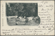 Br Französisch-Indochina: 1903. Picture Post Card Of 'Buffalo Caravans' Addressed To France Bearing Lndo-China SG 10, 10 - Covers & Documents