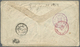 Br Japan: 1876, The Green TOKEI Cover: Old Koban 5 S. Brown Horizontal Pair Canc. Small Green Flower Of Tokyo With Large - Autres & Non Classés