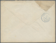 Br Japan: 1876. Envelope (raughly Opened And Backflap Partly Missing, Traces Of Ageing) Addressed To France Bearing Fran - Other & Unclassified