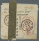 Br Japan: 1889, Weather Report Wrapper Canc. "Zeizumi/Musashi Tokyo 22.2.9" (Feb. 9, 1889) Addressed To 'Agentur Des.Nor - Autres & Non Classés