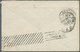 Br Japan: 1895. Envelope (small Faults) Addressed To France Bearing 'Koban' SG 105, 8s Violet And SG 113, 1s Green (2) T - Other & Unclassified