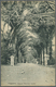 Br Malaiische Staaten - Straits Settlements: 1913. Picture Post Card Of 'The Entrance Of Botanical Garden' Addressed To - Straits Settlements