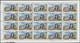 ** Schardscha / Sharjah: 1966, Fishes, 1np. To 10r., Complete Set Of 17 Values As (folded) Sheets Of 20 Stamps With Plat - Sharjah