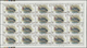 Delcampe - ** Schardscha / Sharjah: 1966, Fishes, 1np. To 10r., Complete Set Of 17 Values As (folded) Sheets Of 20 Stamps With Plat - Sharjah