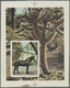 (*) Schardscha / Sharjah: 1972, Horses, Complete Set Of Five Values And The Souvenir Sheet, Two Mirror-inverted Proofs O - Sharjah