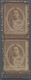 (*) Thailand: 1918 King Vajiravudh's "DUSIT THANI" Stamp In Brown On Thick Paper, Perforated Bottom Marginal Vertical Pa - Thaïlande