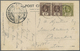 Br Thailand - Besonderheiten: 1926. Picture Post Card Of 'Lady Horton Walk, Kandy' Addressed To Bangkok Bearing Ceylon S - Thaïlande
