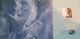 Delcampe - SCHWEDEN SUEDE SWEDEN STAMP YEAR BOOK JAHRBUCH ANNUAIRE 1999 2000 MNH  Slania Nobel Zodiac Dragon Music Butterfly - Annate Complete
