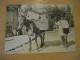 MULE Post Outside Mayens De Sion Post Office BERN 1989 Document Card SWITZERLAND Donkey Donkeys Horse - Esel