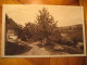VYSOKE N. JIZ. JARO V Horach 1934 Post Card CZECHOSLOVAKIA - Czech Republic