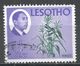 Lesotho 1967. Scott #25 (U) King Moshoeshoe II, Corn - Lesotho (1966-...)