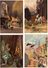 Delcampe - Lot De 35 Grandes Chromos Images Illustrées De Contes Allemands, Illustrés Par Paul Hey Illustrateur Mort En 1952 17X12 - Collections