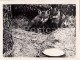 Fox - 1 - Photo - Estonia USSR - Unused - Autres & Non Classés