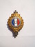 ----1- Insigne Militaire Pince A Cravate- R F CONSEIL MUNICIPAL (( ARTHUS BERTRAND PARIS)) - - Autres & Non Classés