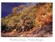(571) Australia - SA - Flinders Ranges Brachina Gorge - Flinders Ranges
